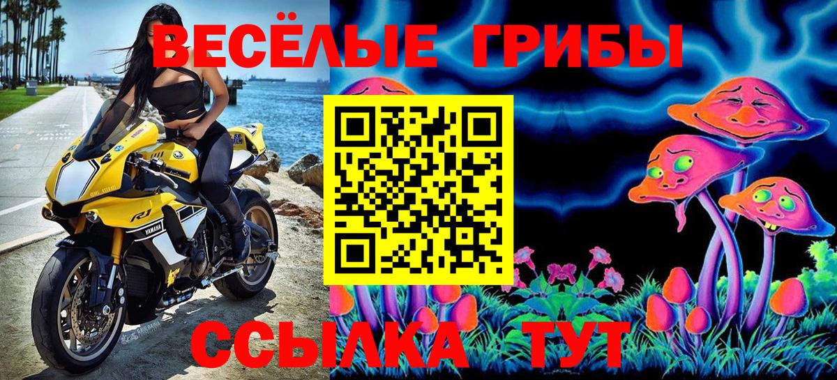 Галлюциногенные грибы мухоморы  Вход с VPN  Клинцы 