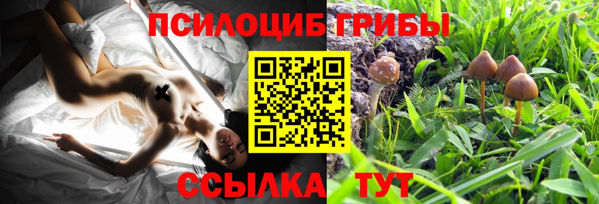 Галлюциногенные грибы Cubensis Клинцы